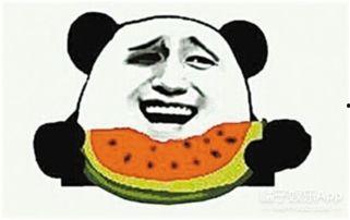 路人甲吃瓜群众一枚,吃瓜群众视角下的娱乐圈风云