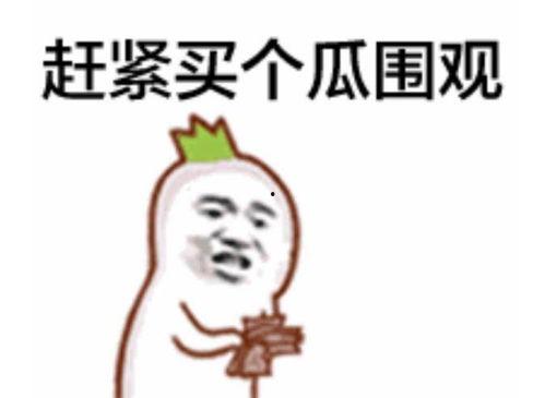 吃瓜群众达人是真的吗视频,视频背后的真实故事