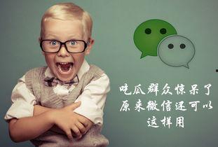 吃瓜群众微信图片图文,揭秘吃瓜群众微信图片背后的惊人真相