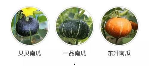 吃瓜群众的惊奇发现,揭秘娱乐圈不为人知的一面！