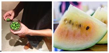 吃瓜群众西瓜撒花,夏日狂欢，瓜香四溢